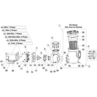 Pentair EQ Series Pump, w/Hair & Lint Strainer Option Replacement Parts