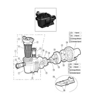 Hayward Northstar SP4000/SP4000X Pump, w/mhbt Unions, 2008+ Replacement Parts