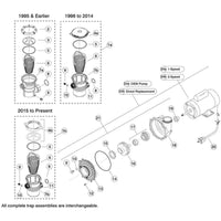 Waterway HiFlo & HiFlo II Series Pump Replacement Parts Replacement Parts