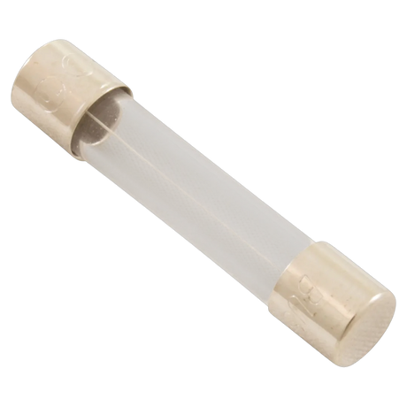 AquaCal AutoPilot Chlorinator 3A Fuse