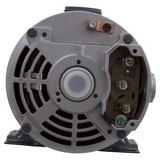 Gecko Flo-Master FMCP 3/4 HP 115V Pump - Wires