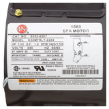 Gecko Aqua-Flo CMXP 1/8 HP Spa Pump