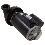 Balboa Water Group 6500-343 Spa Pump - Reverse