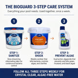 BioGuard Smart Shock Multi-Purpose Pool Treatment
