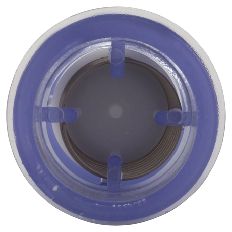 DEL Ozone CO-0101 Check Valve - Front