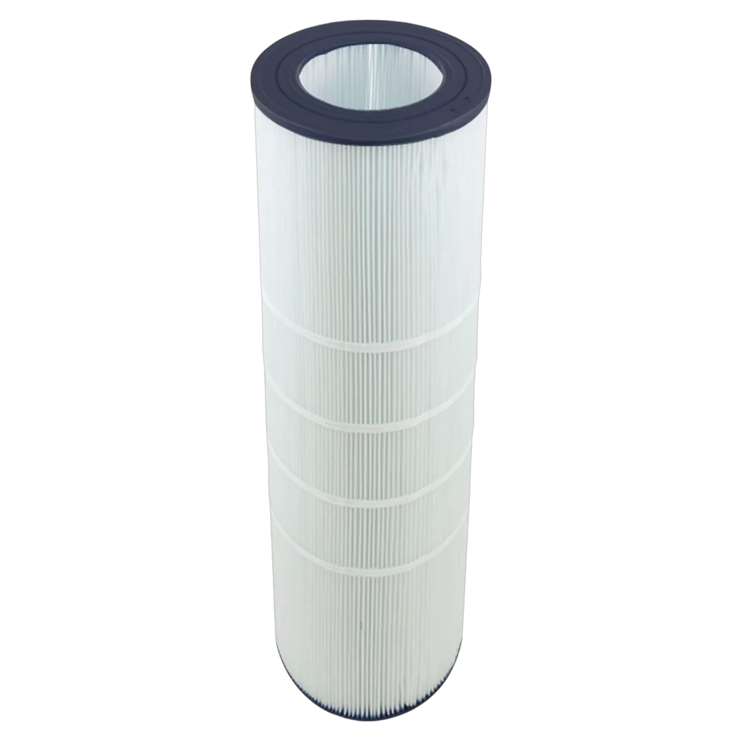 Pentair Clean & Clear 150 Filter Cartridge - Reverse