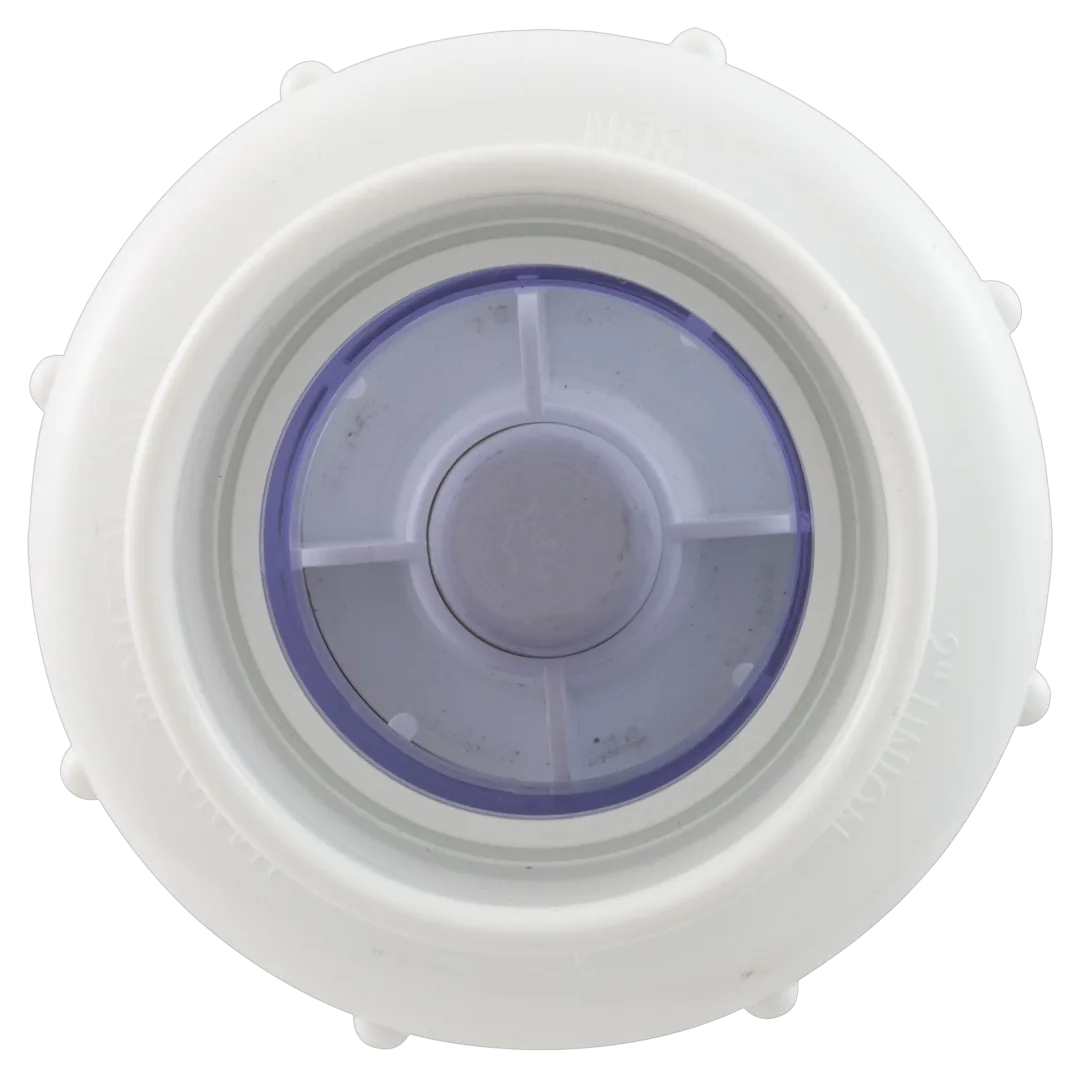 NDS 1700C20 True Union Spring Check Valve 2 in Clear - Back