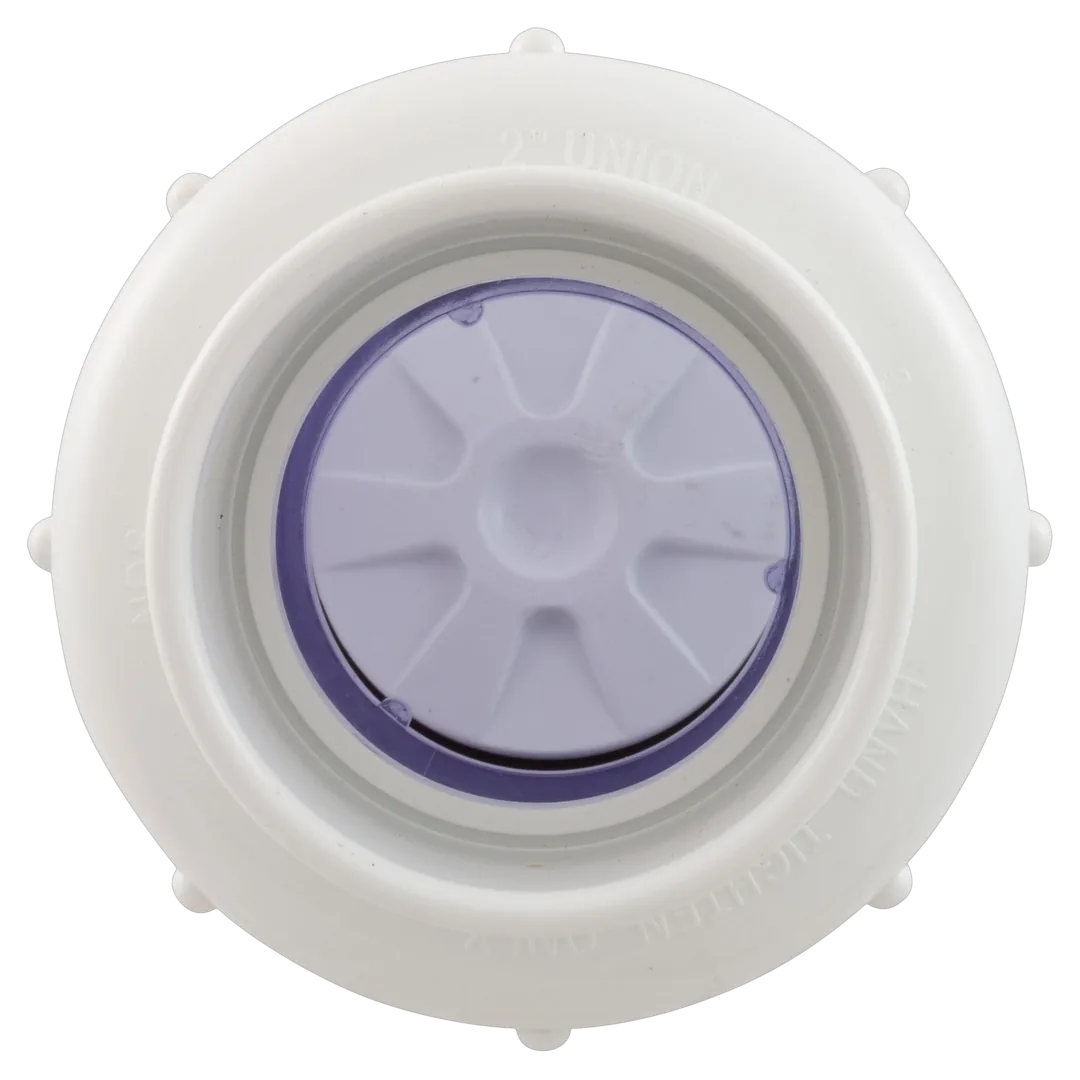 Flo Control 1720C20 2 in. Clear True Union Swing Check Valve - Front