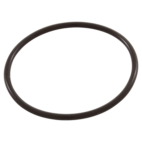Generic O-Ring 2-1/2 Inch ID 1/8 Inch Cross Section — o-ring