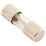 Hayward FDXLFSKF15 1.5 Amp Mini-Fuse Kit for Pool Heater