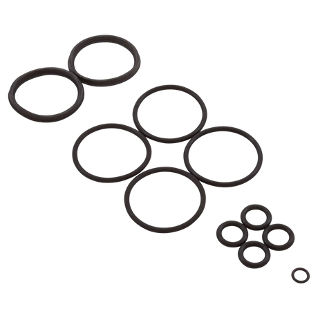 Hayward H-Series FD Heater Header O-Ring Kit