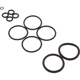 Hayward H-Series FD Heater Header O-Ring Kit — reverse view
