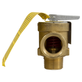 Hayward H-Series Pool Heater Relief Valve — front view