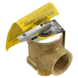 Hayward H-Series Pool Heater Relief Valve