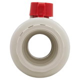 Hayward QTA1020CSEW True Union Ball Valve - Back