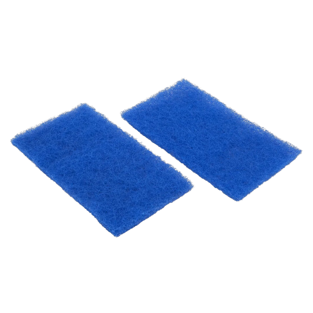 Hayward RCX70103PAK2 Spring Clean Up Filter, Hayward SharkVAC/TigerShark, qty 2