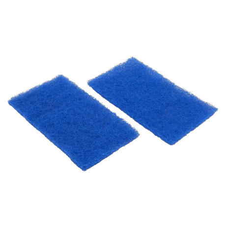 Hayward RCX70103PAK2 Spring Clean Up Filter, Hayward SharkVAC/TigerShark, qty 2