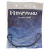 Hayward SPX1600T Housing Gasket - Package
