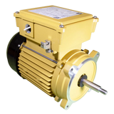 Hayward SPX2607Z1MTG 1HP Pool Motor