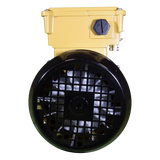 Hayward SPX2607Z1MTG Replacement Motor - Back