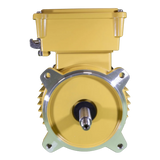 Hayward SPX2607Z1MTG Replacement Motor - Front