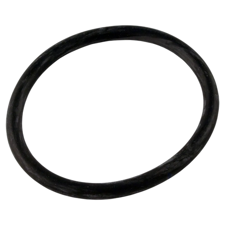 Hayward SPX4000Z1 diffuser o-ring replacement