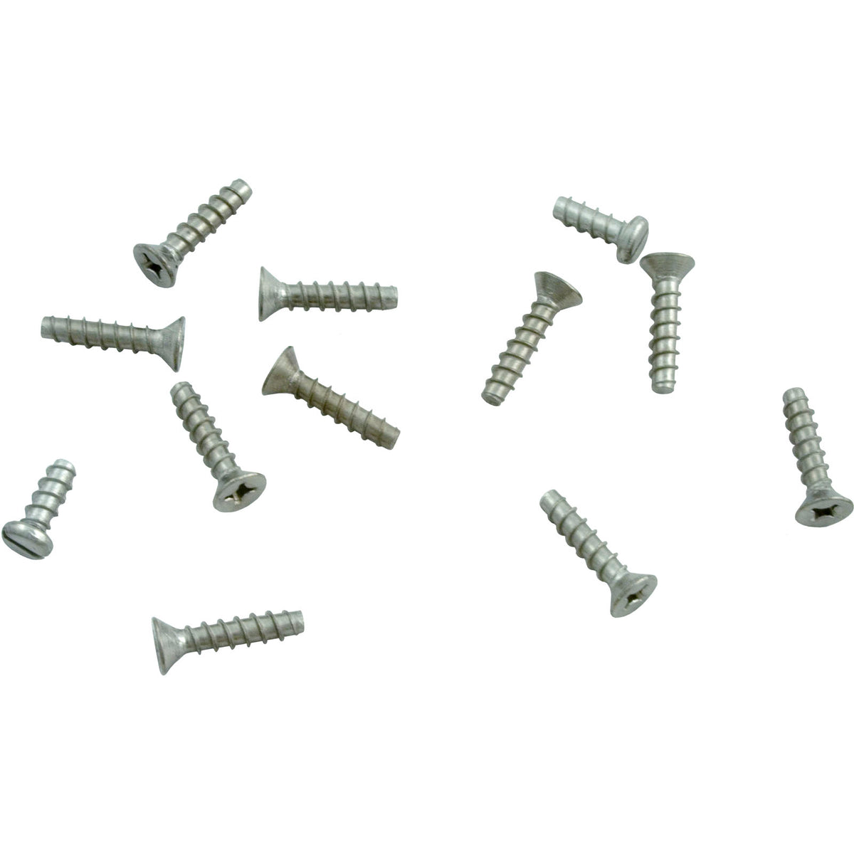 Hayward Skimmer Face Plate Screw Set