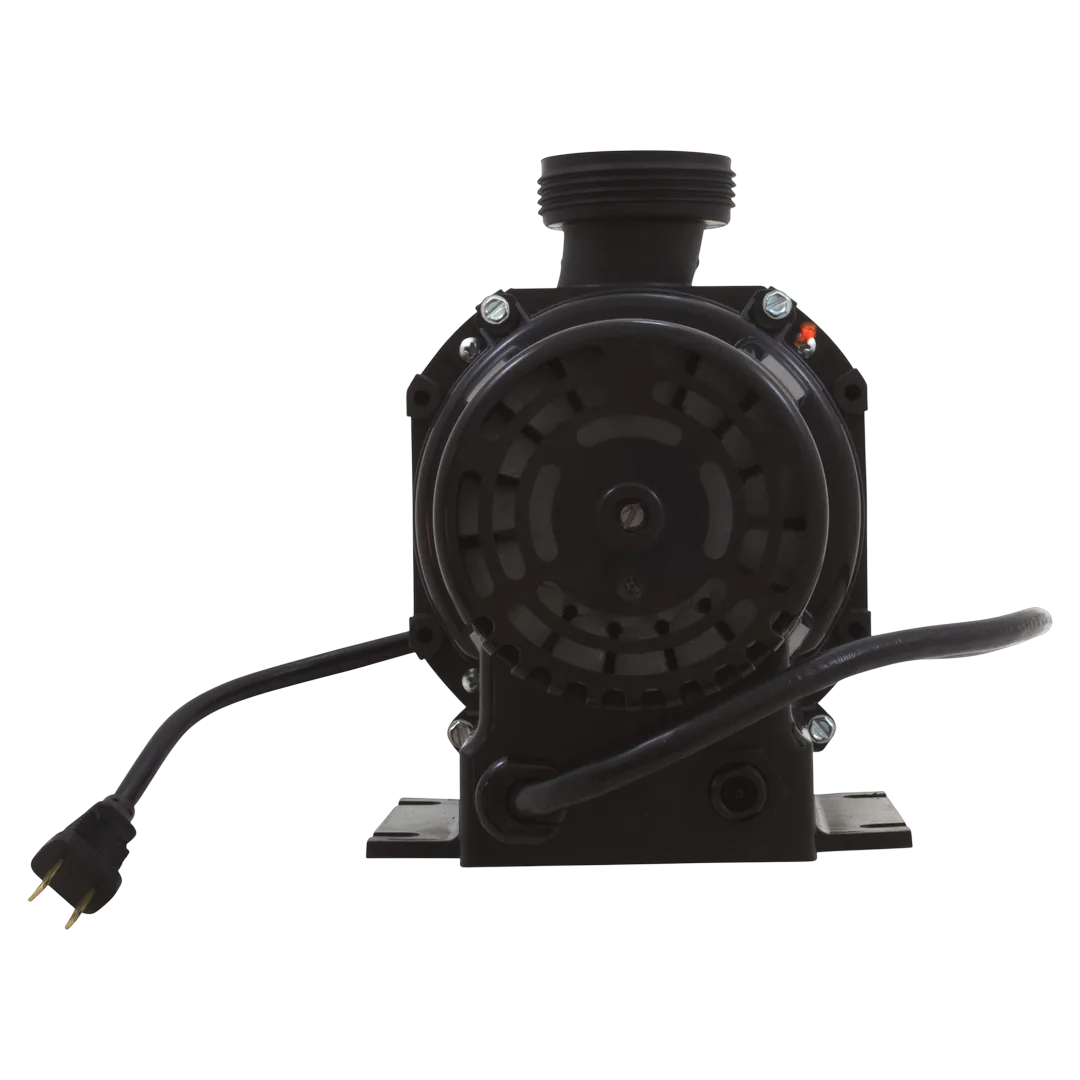 Balboa Gemini Plus II 1.5HP Bath Pump - Back