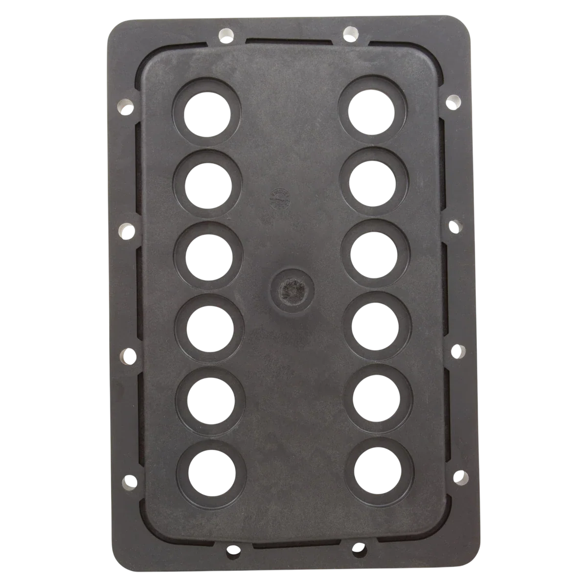 Jandy JXi 400 Manifold Backplate — back view