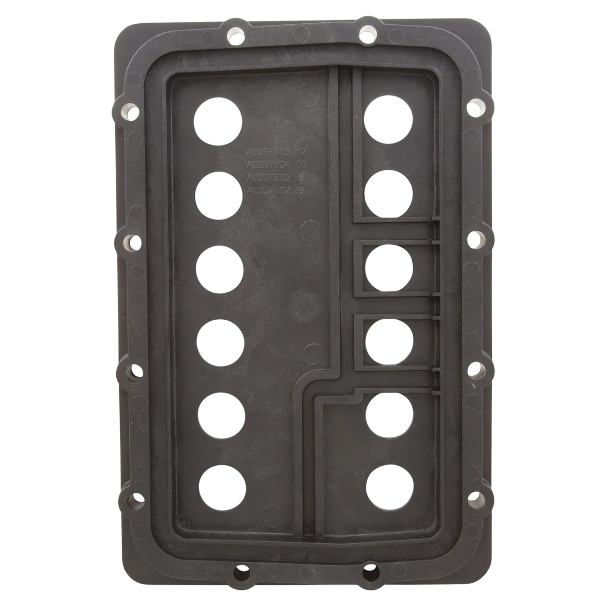 Jandy JXi 400 Manifold Backplate — front view