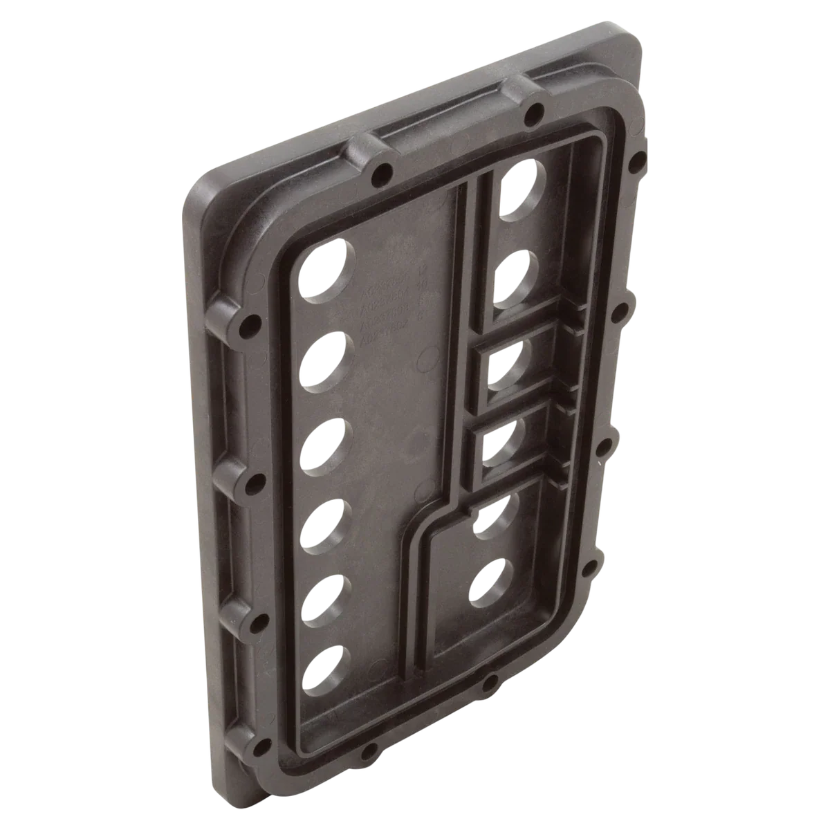 Jandy JXi 400 Manifold Backplate
