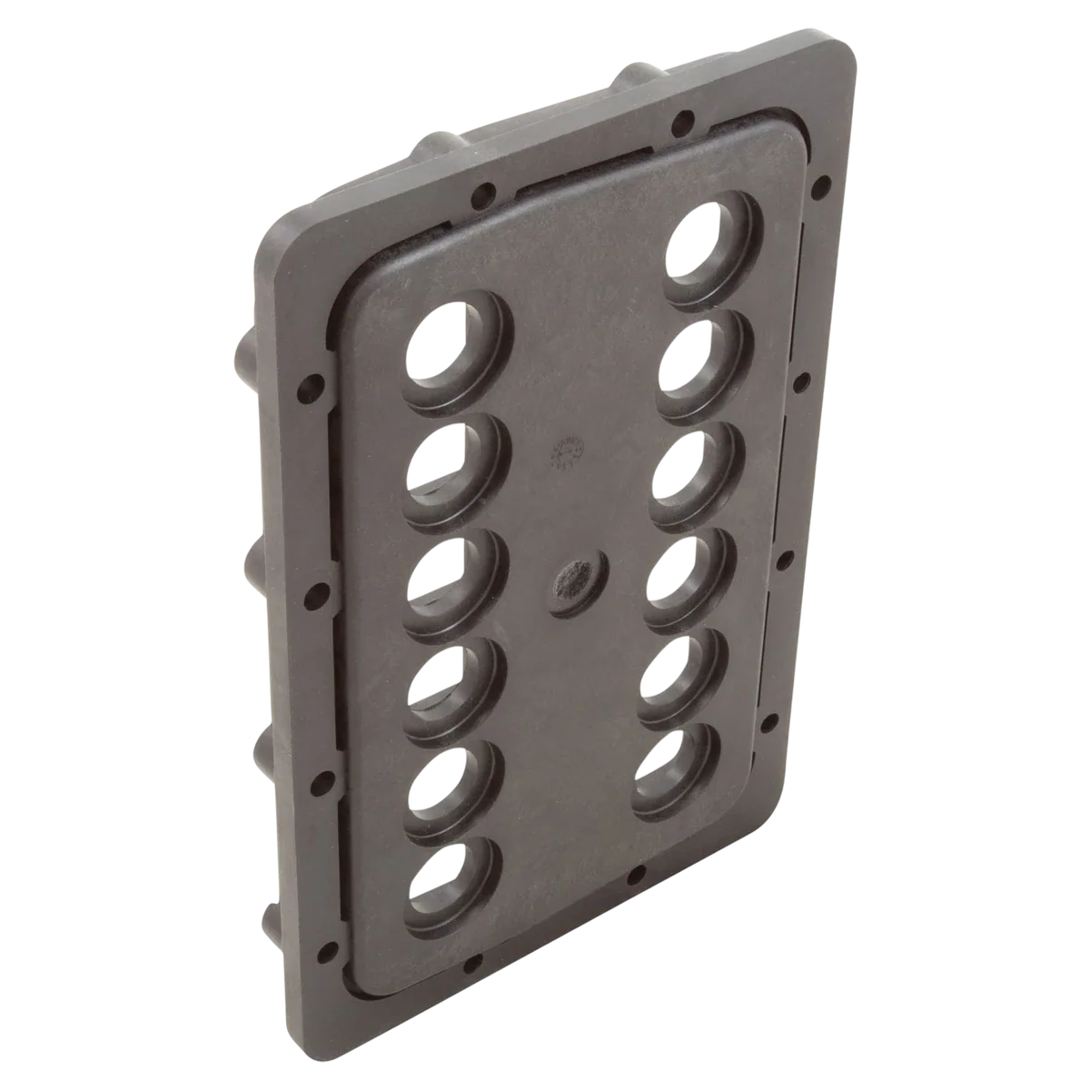Jandy JXi 400 Manifold Backplate — reverse view
