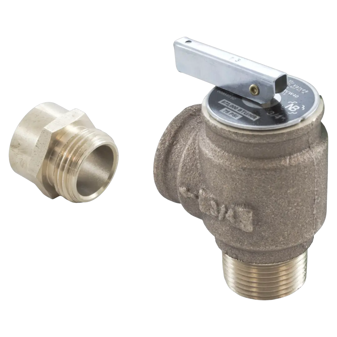 Jandy R0336100 Pressure Relief Valve - Reverse