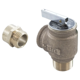 Jandy R0336100 Pressure Relief Valve - Reverse