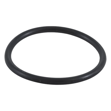 Zodiac Jandy R0358400 Inlet Elbow with O-Ring for pool and spa filters
