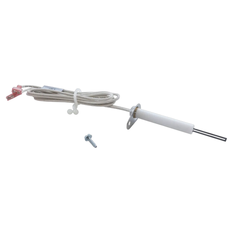 Jandy Lite2 Igniter R0367100 for Pool Heaters