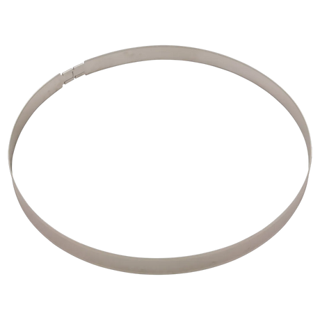 Zodiac Jandy Retaining Ring R0405200 - Reverse