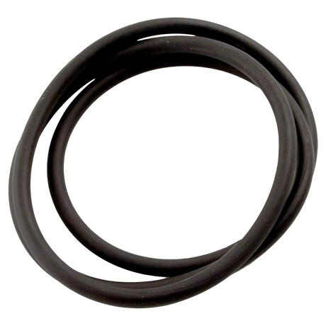 Jandy CS Series Tank Lid O-Ring R0462700