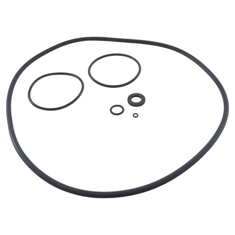 Zodiac R0466300 O-Ring Set Replacement