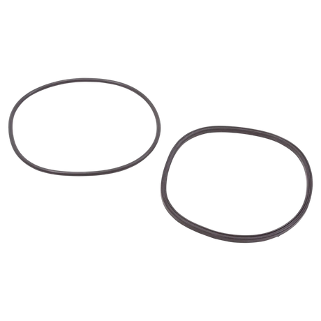 Jandy R0446200 Lid Seal and O-Ring Kit - Reverse