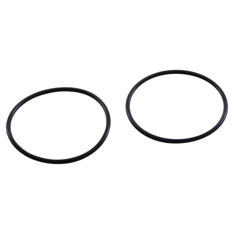 Jandy R0449200 tail piece O-ring set (pack of 2)