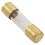 Dolphin Slow Blow Fuse 2.5A Replacement