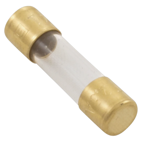 Dolphin Slow Blow Fuse 2.5A Replacement