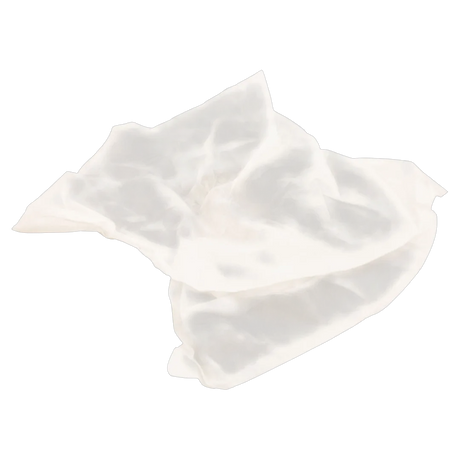 Maytronics 9991440-ASSY Dolphin Disposable Filter Bag - Reverse