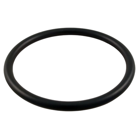 Pentair 154492 2-inch bulkhead O-ring