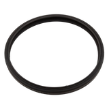 Sta-Rite Sunbrite/Sunglow light lens gasket