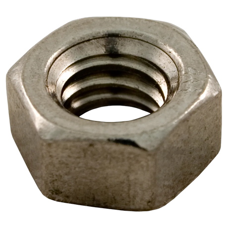 Pentair 071406Z stainless steel hex head nut