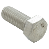 Pentair 071687 Stainless Steel Hex Bolt