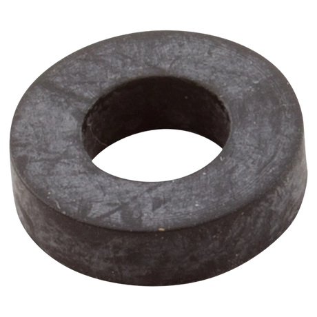 Pentair 075713Z Rubber Washer - Reverse