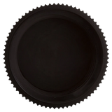 Pentair Sand Dollar Drain Assembly - Back